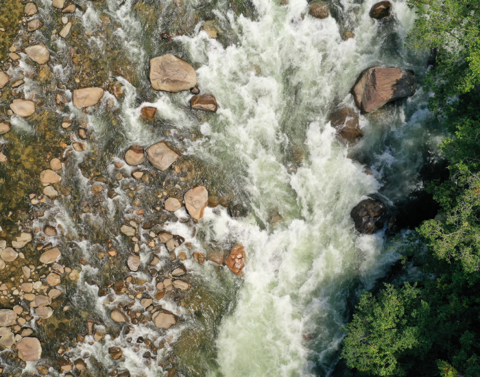 Río con rápidos visto desde arriba