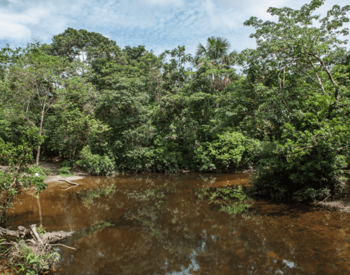 floods at the amazon